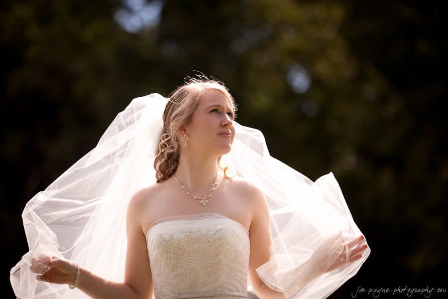 A bride in a strapless wedding dress stands outdoors, gazing upward. Her veil flows gently in the breeze, and she is adorned with delicate jewelry. Sunlight illuminates her figure against a dark, blurred background.