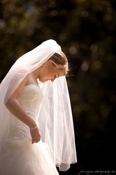 A bride in a white wedding dress and veil stands outdoors, looking down. The background is softly blurred, emphasizing her serene expression and the sunlight illuminating her hair and gown.