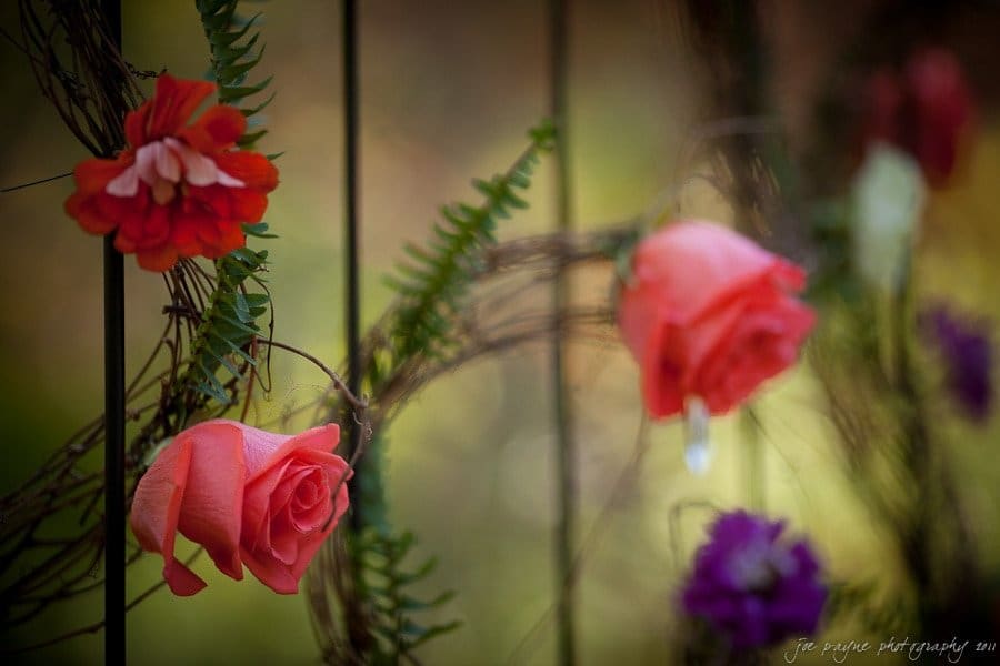 Close-up of a decorative arrangement with vibrant pink and red roses intertwined with green fern leaves against a soft-focus background.