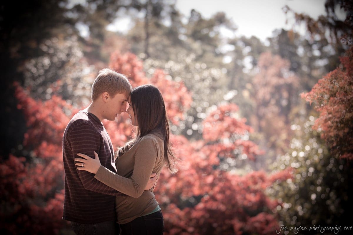 A couple stands closely with foreheads touching, surrounded by vibrant red-orange foliage and trees in the background. The sunlight casts a warm glow, creating a serene and intimate autumn scene.