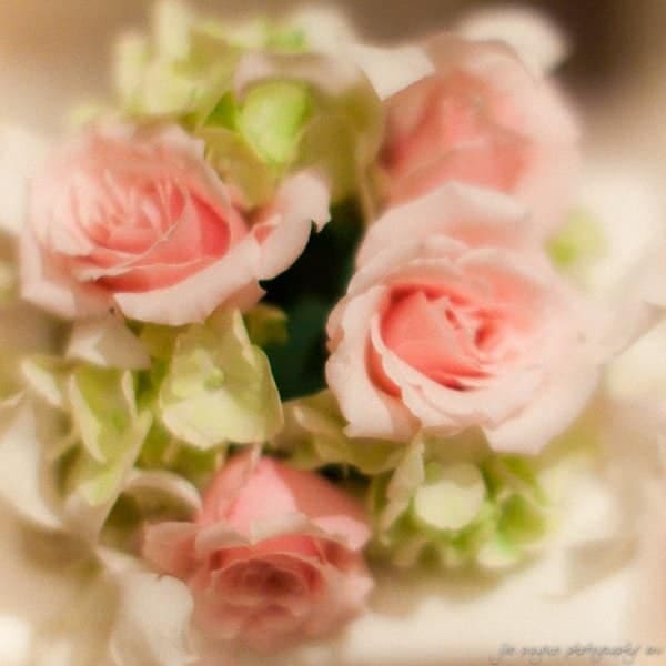 A soft-focus image of a bouquet featuring delicate pink roses surrounded by light green and white hydrangea flowers, creating a dreamy and romantic feel.