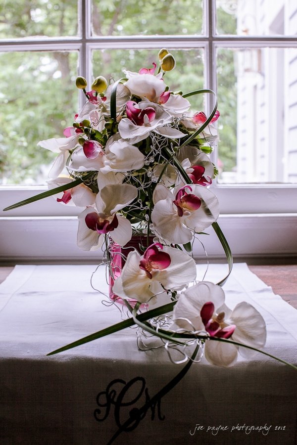 magnolia manor raleigh wedding photography ~ dayna and daniel