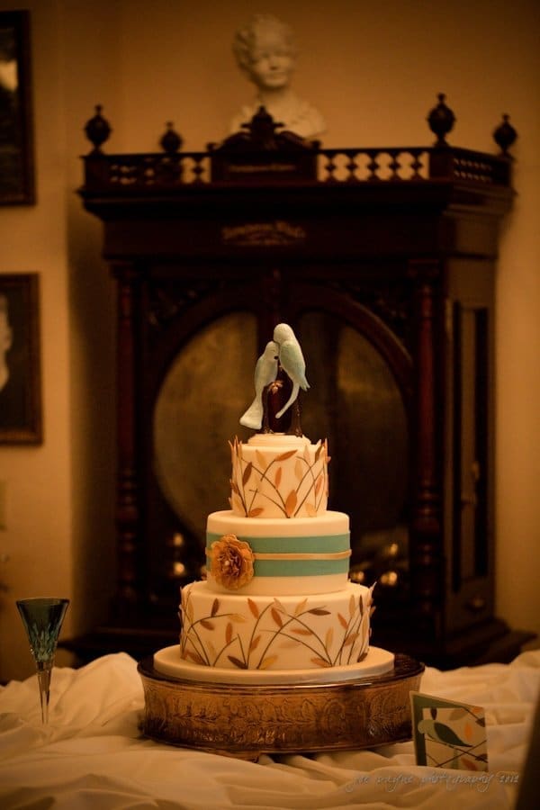 lake lure north carolina wedding photography ~ shannon and paul A three-tiered cake decorated with bird figurines on top, floral patterns, and a blue ribbon around the middle tier. It is displayed on a wooden stand with a vintage cabinet in the background. The lighting is warm and ambient.