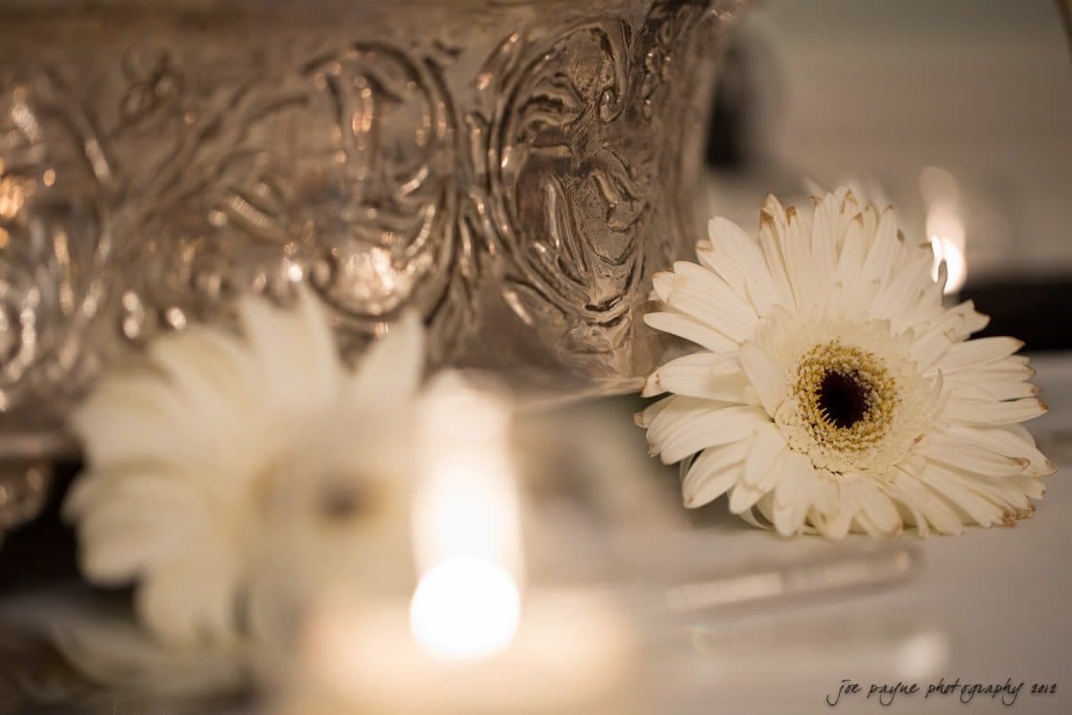 carolina inn wedding photography ~ danielle and thomas Close-up of a white gerbera daisy placed next to an ornate silver planter. The background is softly blurred, highlighting the intricate details of the planter and the delicate petals of the flower. A faint glow from a small light source is in the foreground.
