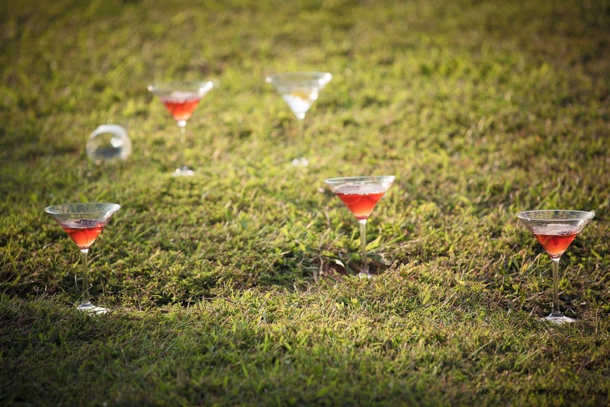 barn at valhalla, chapel hill wedding photography ~ allegra and chris Five martini glasses with red and clear liquids are placed on a grassy field. The sunlight creates a warm ambiance, illuminating the grass and glassware.