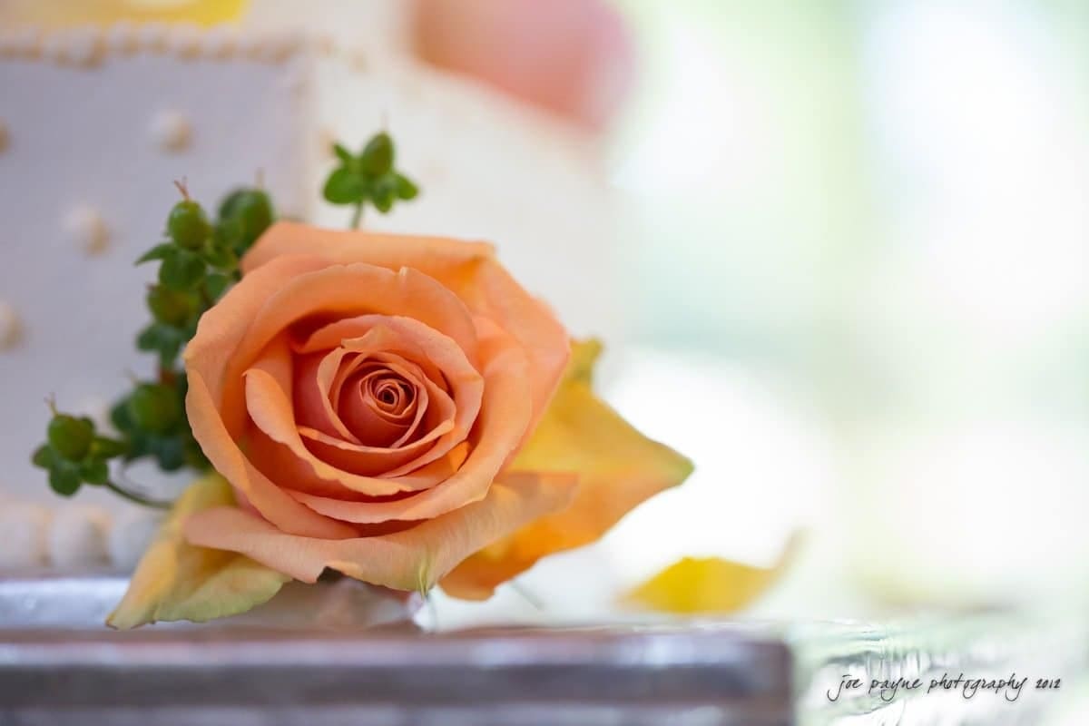 Close-up of an orange rose with rich petals and green leaves, placed beside a white textured surface. The background is softly blurred, enhancing the focus on the delicate flower.