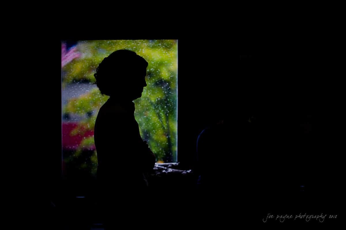 A silhouette of a person stands in front of a window with vibrant, blurred greenery and colorful flowers outside. The interior is dimly lit, creating a contrast between the subject and the bright scene outside.