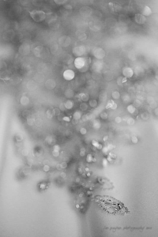 A monochrome close-up of a delicate, sparkling jewelry piece with intricate details and blurry bokeh effect in the background. The focus is on the shimmering highlights and fine craftsmanship.