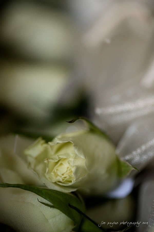 Close-up of a partially opened white rose surrounded by blurred greenery. The soft petals and subtle cream hue are contrasted by the dark green edges, creating a serene and delicate composition.