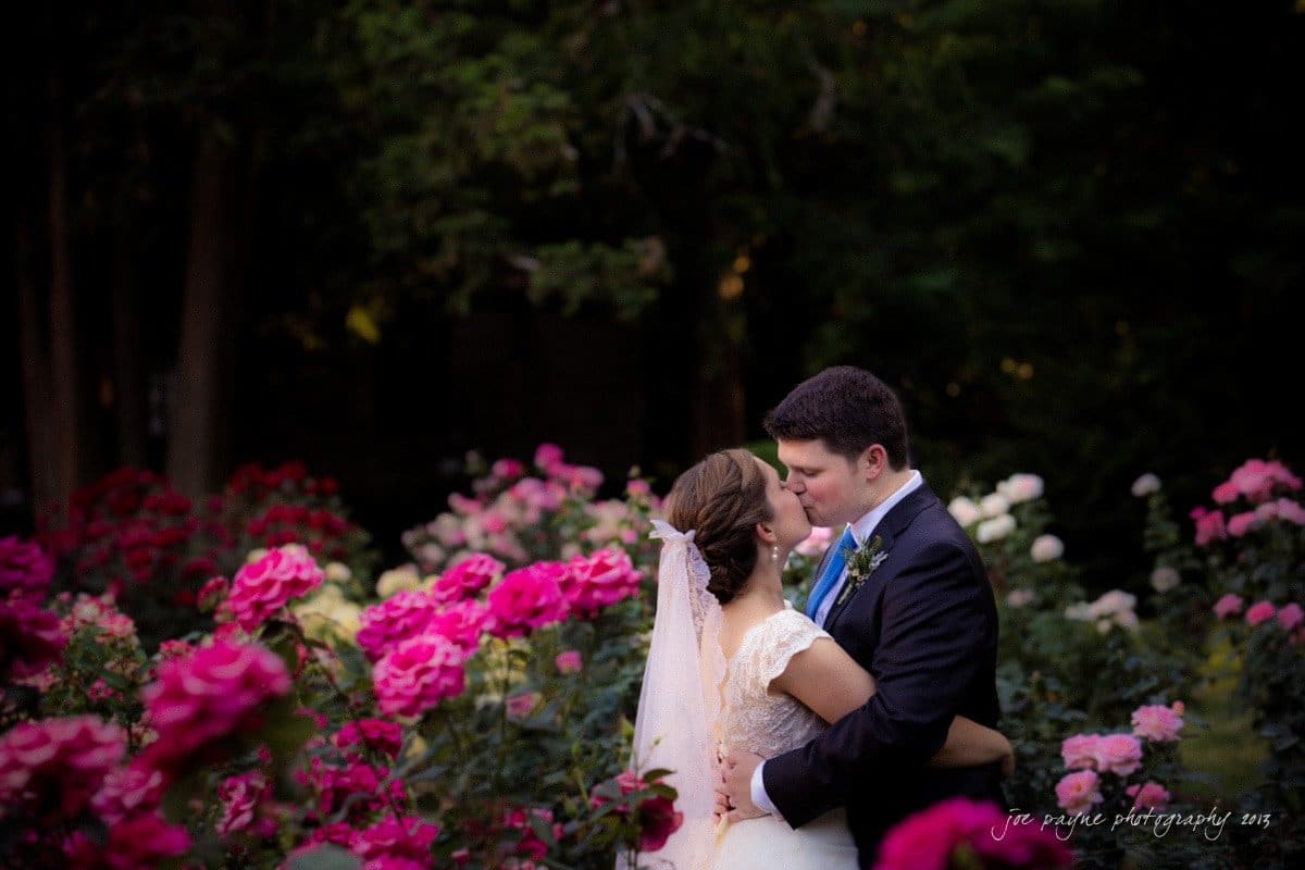 A bride and groom kiss in a garden surrounded by vibrant pink roses. The bride wears a lace gown and veil, while the groom is in a dark suit with a blue tie. The background features lush greenery.
