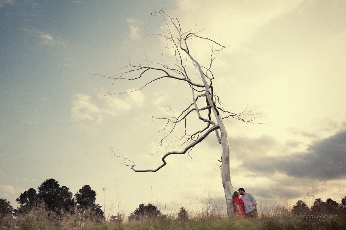 A barren, twisted tree stands alone in a field under a cloudy sky. A couple sits at the base of the tree, embracing. Tall grasses surround them, and the silhouette of distant trees lines the horizon.