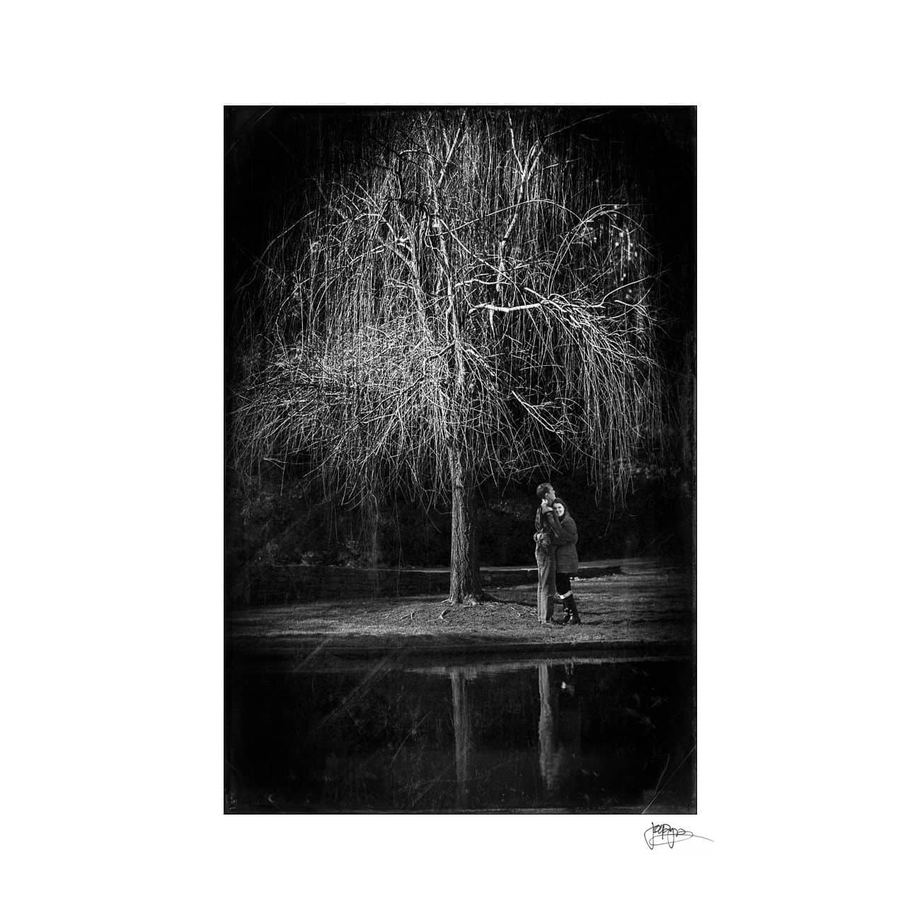 A black and white photograph of a couple embracing under a leafless tree by a pond. The trees branches are reflected in the water, creating a serene and intimate scene.