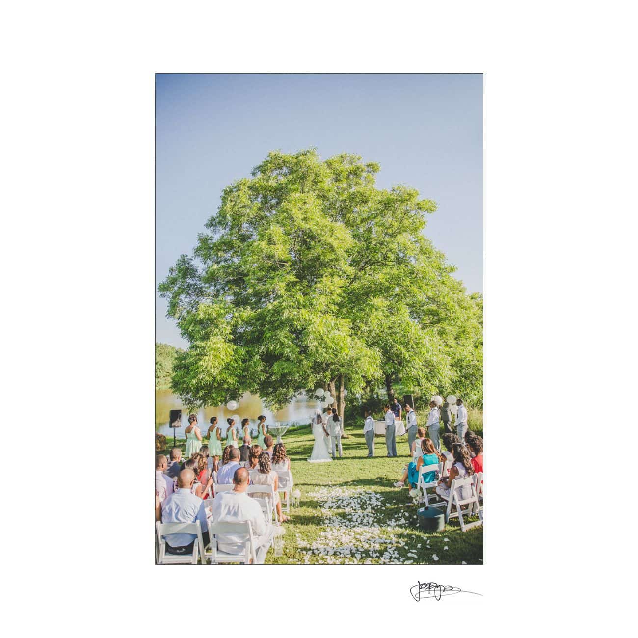 A couple is getting married outdoors under a large tree, surrounded by guests seated on white chairs. It is a sunny day with a clear blue sky and a small pond in the background. Flower petals are scattered on the grass.