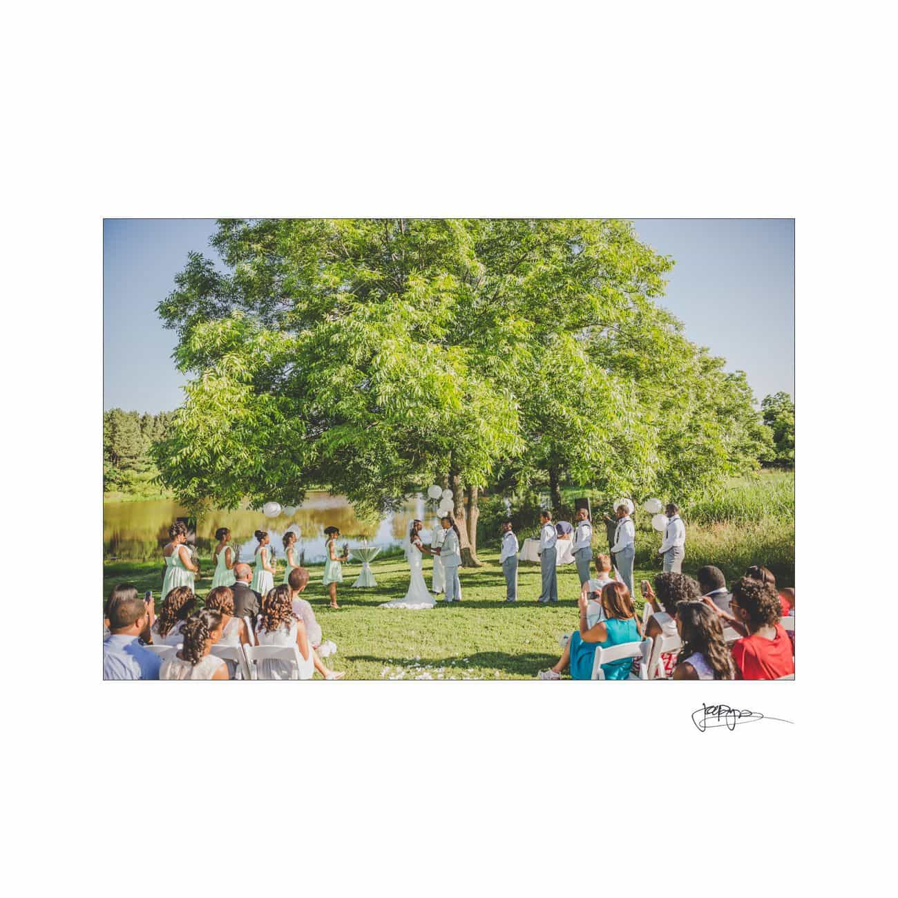 A serene outdoor wedding ceremony unfolds beside a pond, under a lush green tree. The bride and groom stand with their bridal party, while seated guests watch. The sunny day enhances the natural beauty of the surroundings.