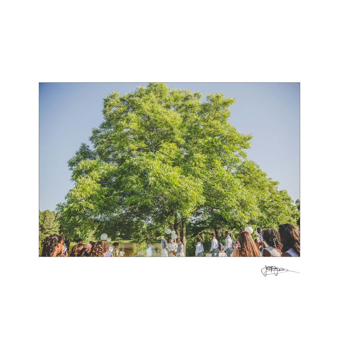 A wedding ceremony taking place outdoors under a large, lush green tree. A bride and groom stand together, surrounded by guests seated in rows, all under a clear blue sky.