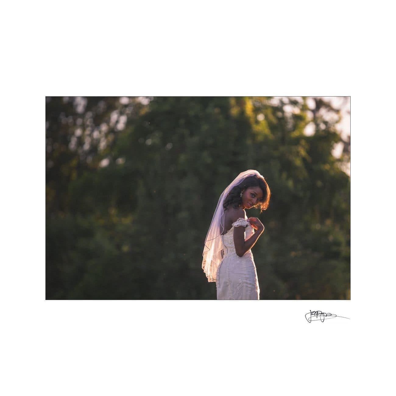 A bride in a white dress and veil stands outdoors, facing sideways, with sunlight illuminating her. She is surrounded by greenery, creating a serene and romantic setting.