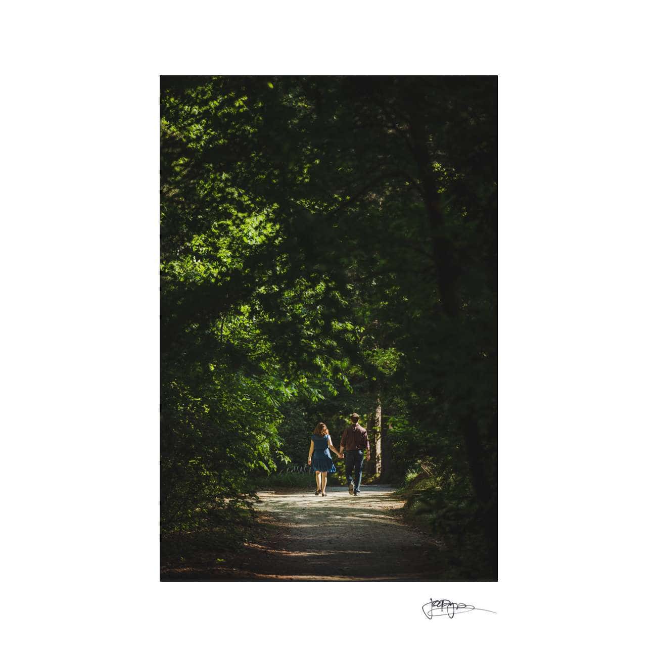 A couple is walking hand in hand down a forest path, surrounded by dense green trees and dappled sunlight.