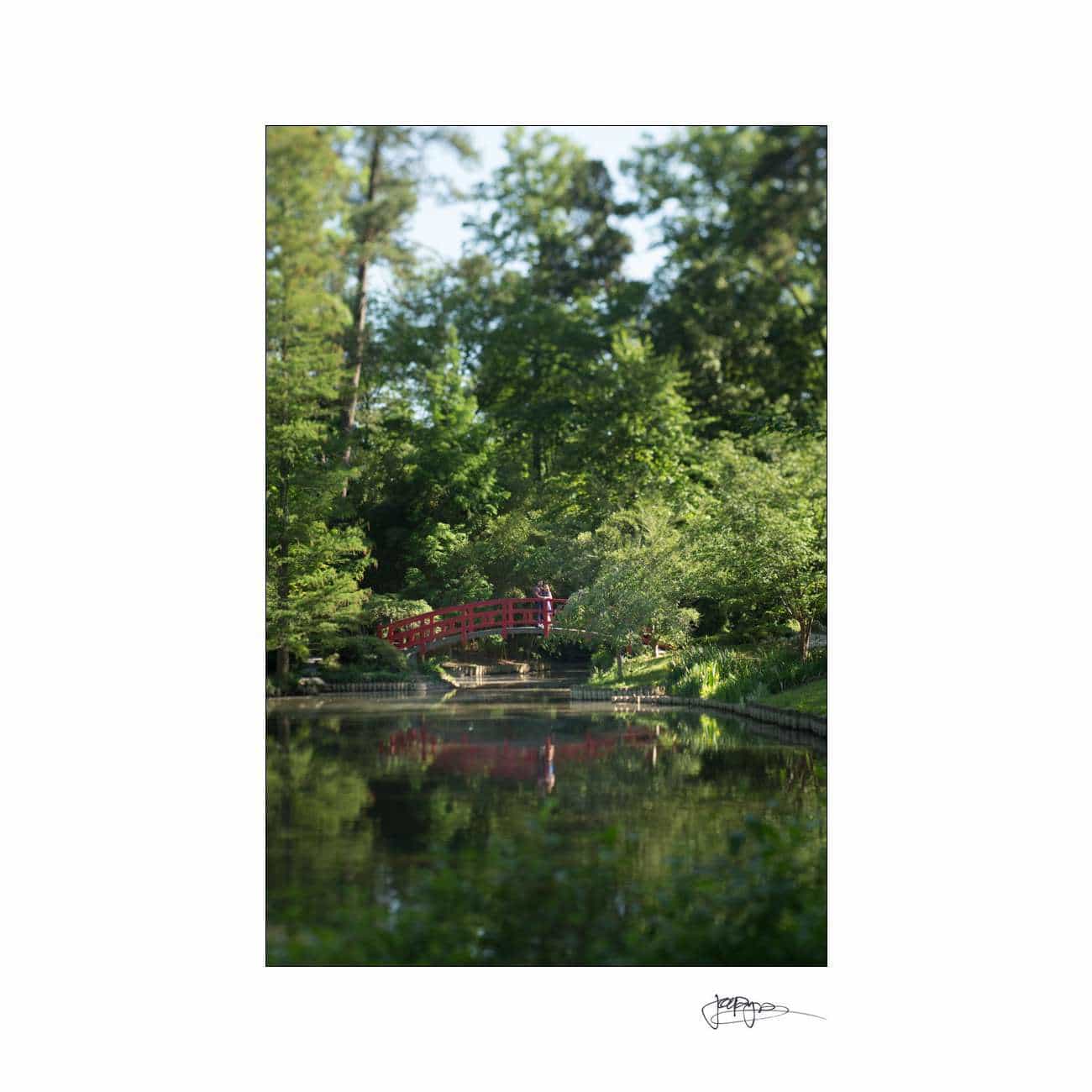 A serene scene featuring a vibrant red footbridge crossing over a tranquil pond, surrounded by lush green trees and foliage reflecting in the water below.