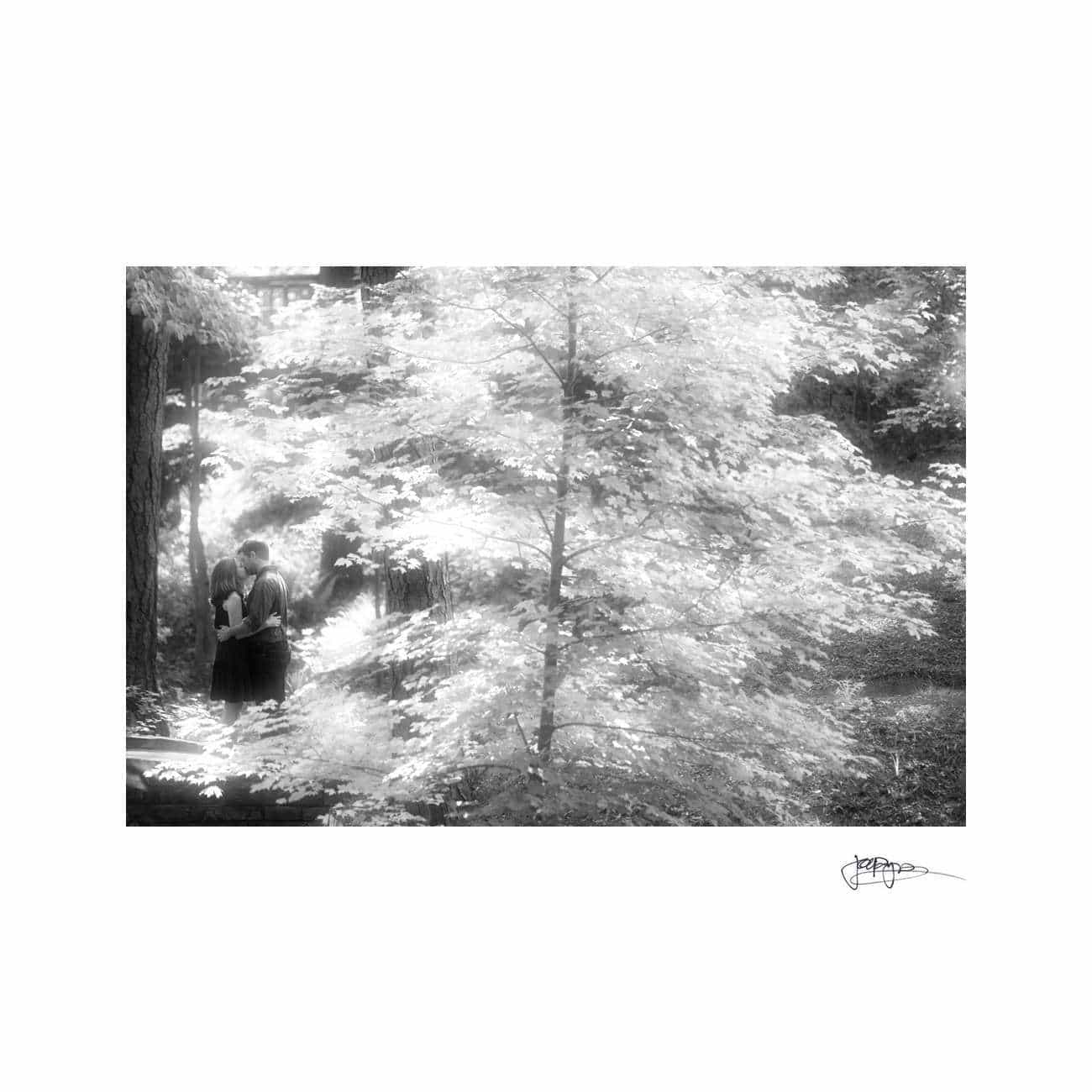 A black and white photograph of two people embracing amid a forest of sunlit trees. The surrounding foliage creates a bright, dreamy atmosphere. A signature is visible in the lower right corner.