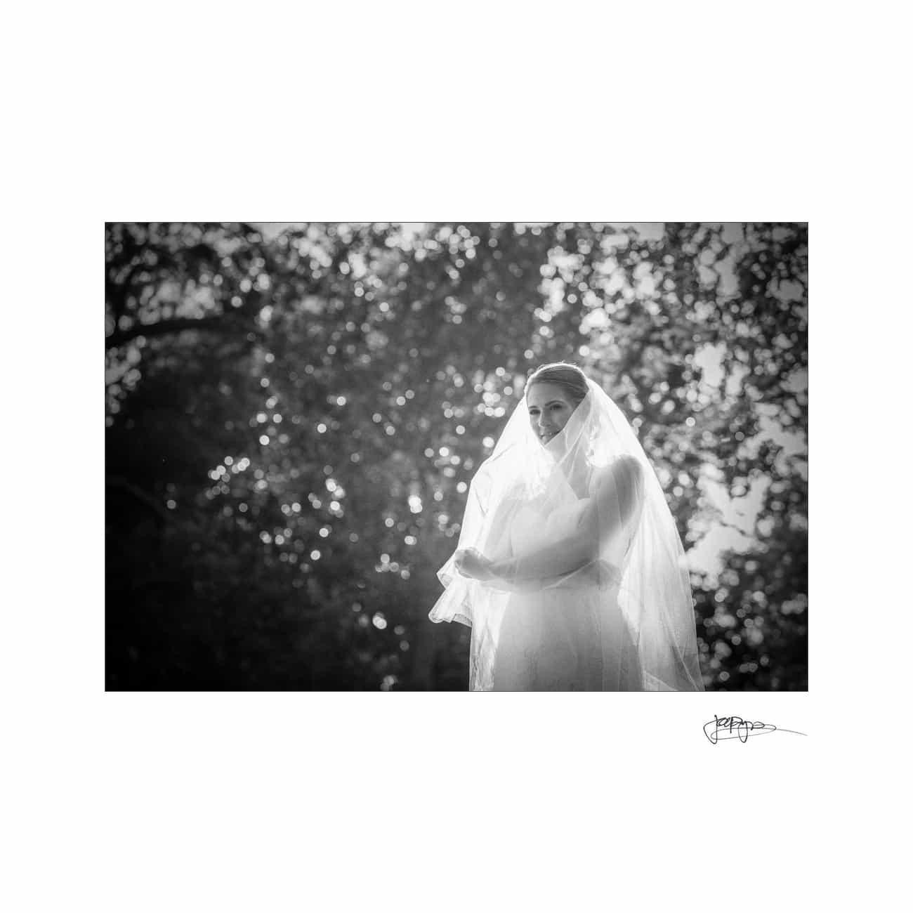 Black and white photo of a bride standing outdoors, wearing a veil. She is illuminated by dappled sunlight coming through the trees in the background. The image has a soft, serene atmosphere.