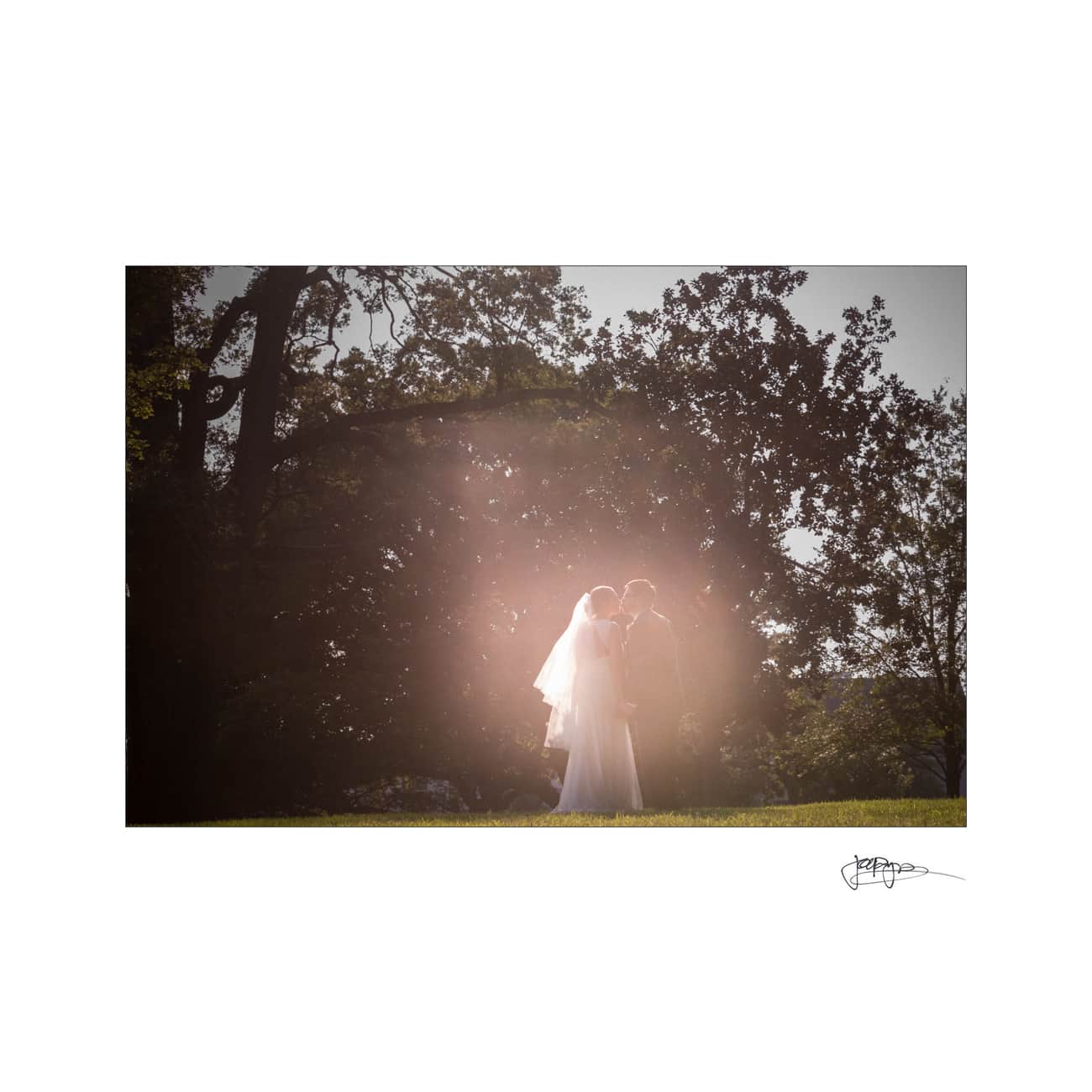 A bride and groom stand closely together outside, surrounded by trees. The sunlight creates a glowing effect around them, highlighting their figures. The image captures a peaceful and romantic moment.