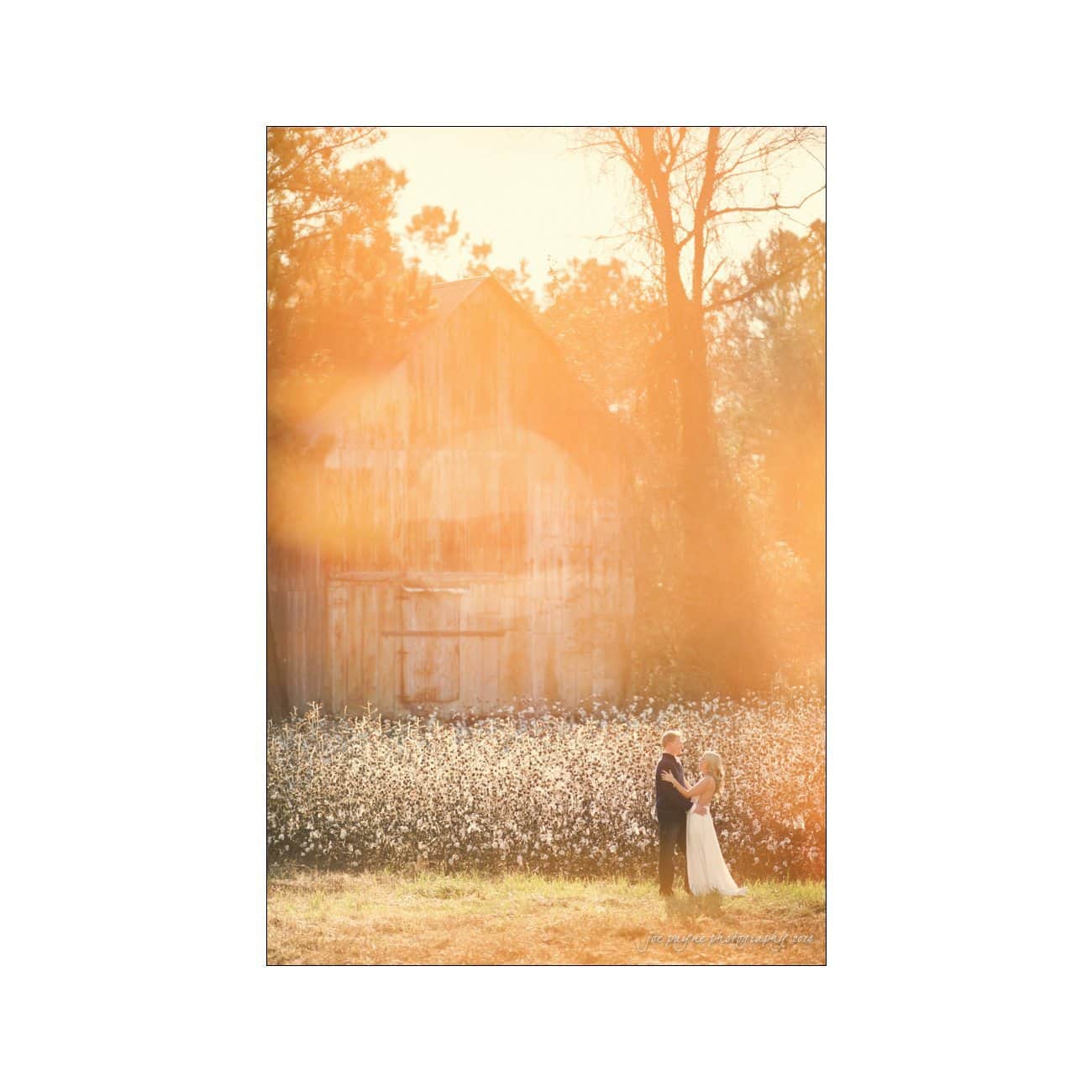 A couple embraces in front of an old barn surrounded by wildflowers, with golden sunlight filtering through trees, creating a warm, romantic atmosphere.
