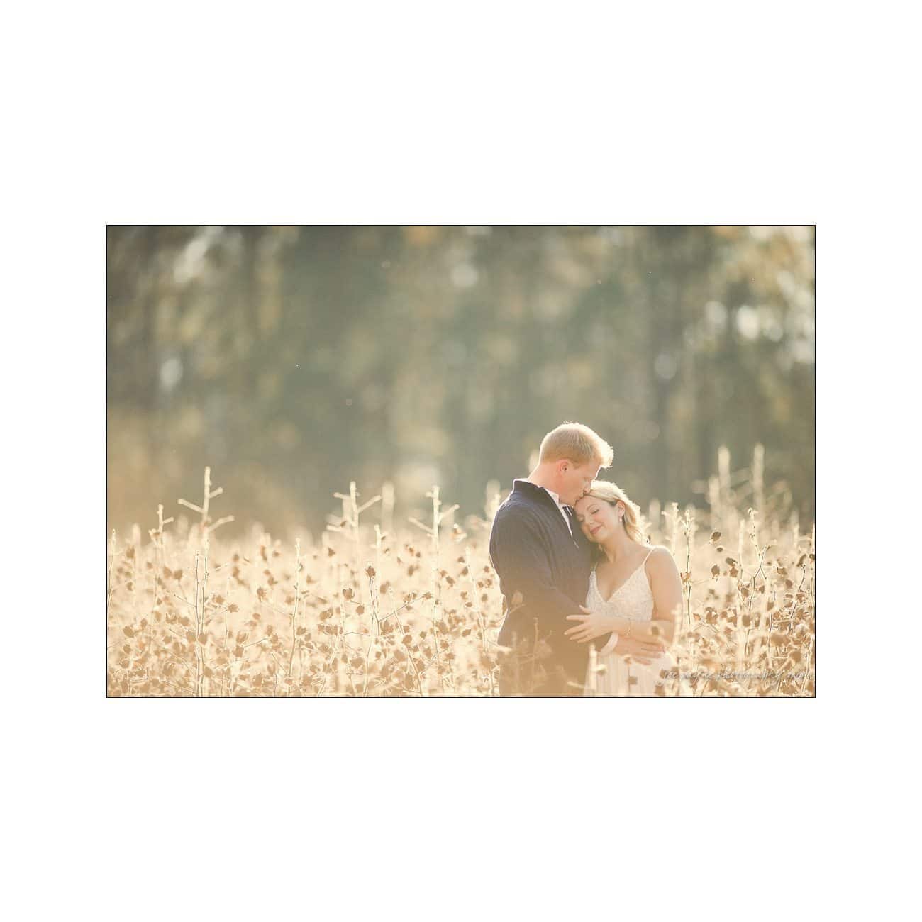 A couple stands in a field of tall, dried plants. The man, in a suit, embraces the woman, in a white dress. Sunlight casts a warm glow as they share a tender moment, surrounded by soft-focus, natural scenery.