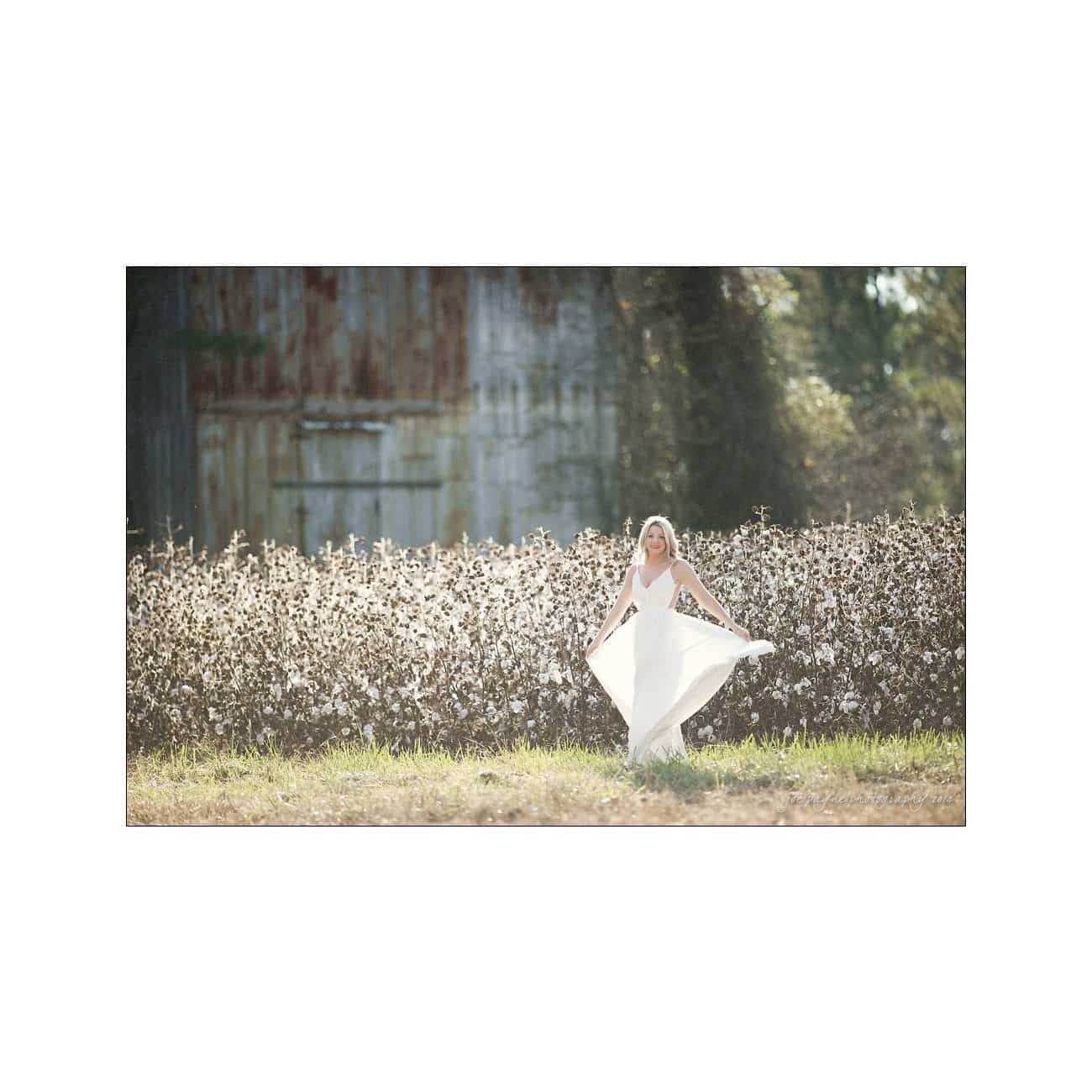 A bride in a flowing white dress walks joyfully through a sunlit field of cotton, with an old barn in the background. The image captures a serene and blissful moment in a rustic, natural setting.