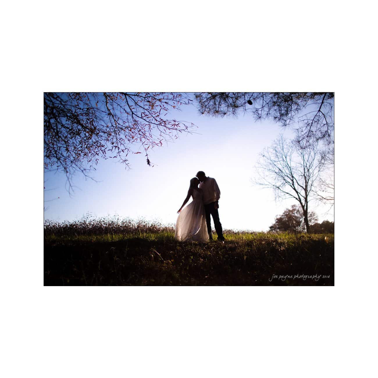 A couple stands in a grassy field, silhouetted against a clear blue sky. The bride is in a flowing gown, and the groom wears a suit. Bare tree branches frame the scene, creating a serene and romantic atmosphere.