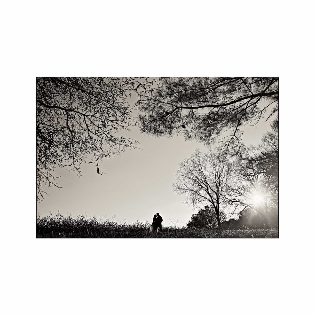 A black and white photo of a couple standing in a field under a clear sky. Sunlight peeks through tree branches, casting gentle shadows. The scene conveys a peaceful, intimate moment amidst nature.