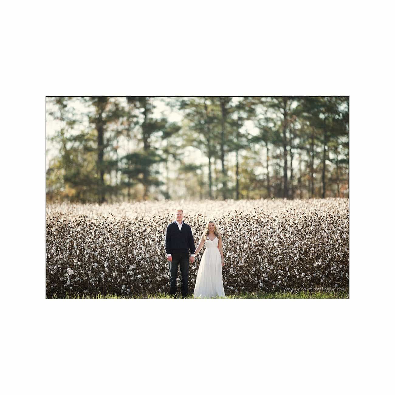 A couple stands side by side in front of a tall cotton field. The man is wearing a dark suit, and the woman is in a white wedding dress. Trees are visible in the background under a clear sky.