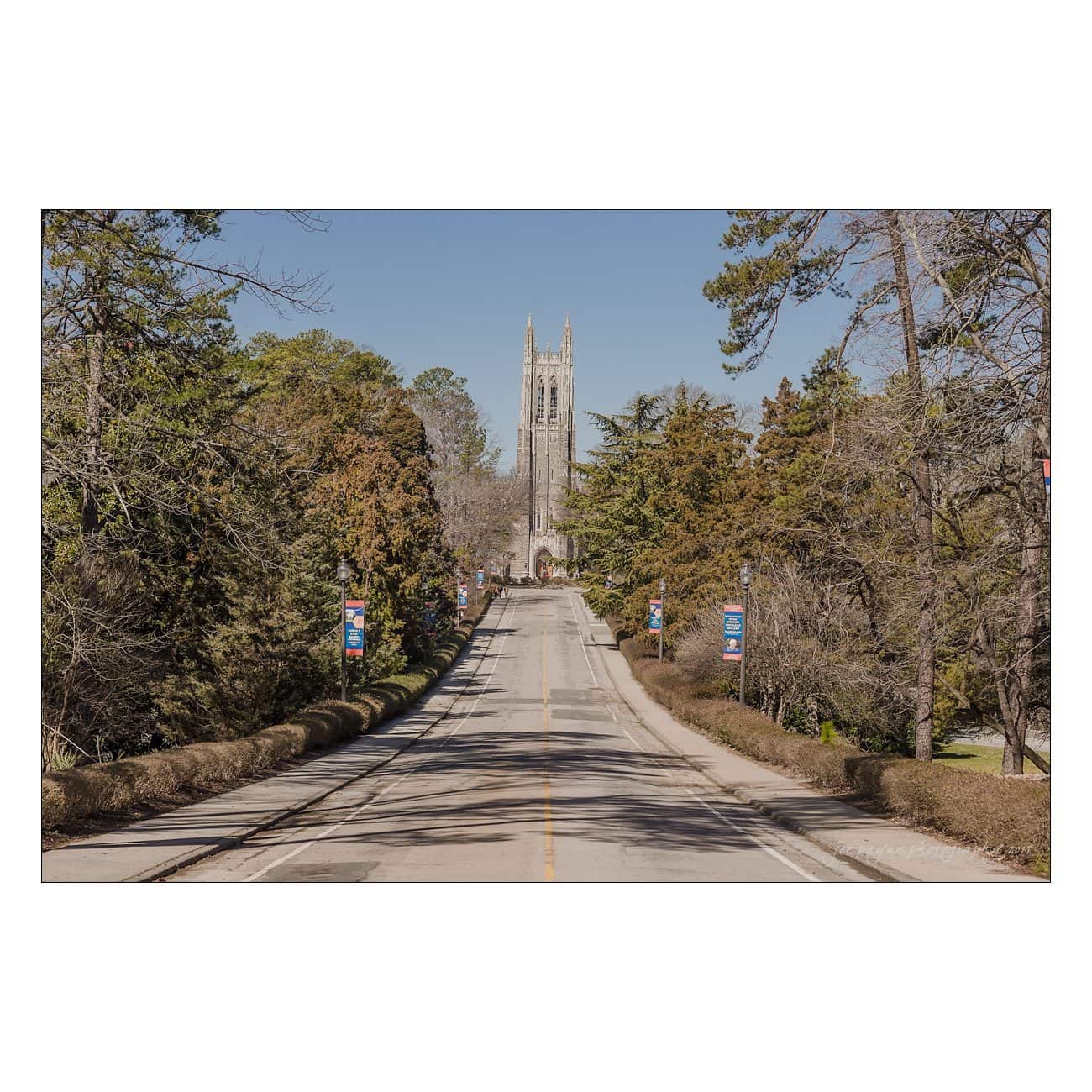 A straight road lined with trees leads to a tall stone cathedral with a prominent tower in the distance, under a clear blue sky. Banners hang from lampposts along the road.