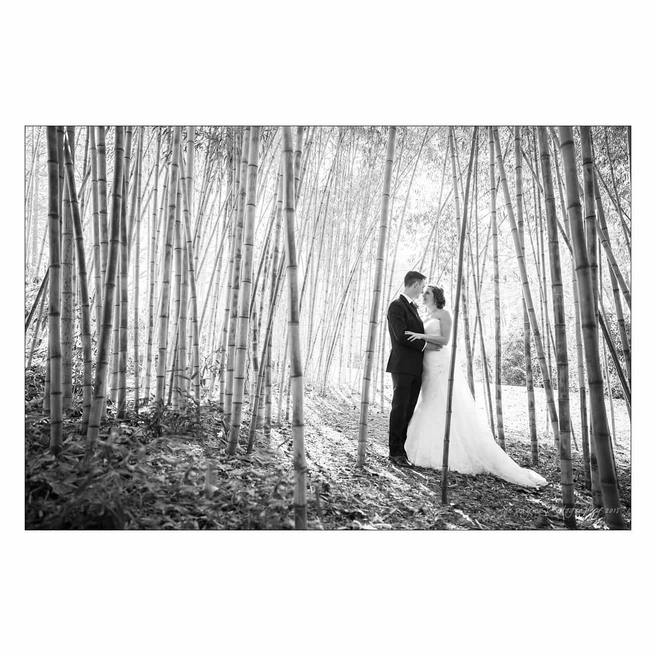 A couple in a wedding dress and suit embrace in a serene bamboo forest. Sunlight filters through the tall stalks, casting soft shadows around them. The scene is peaceful and romantic.