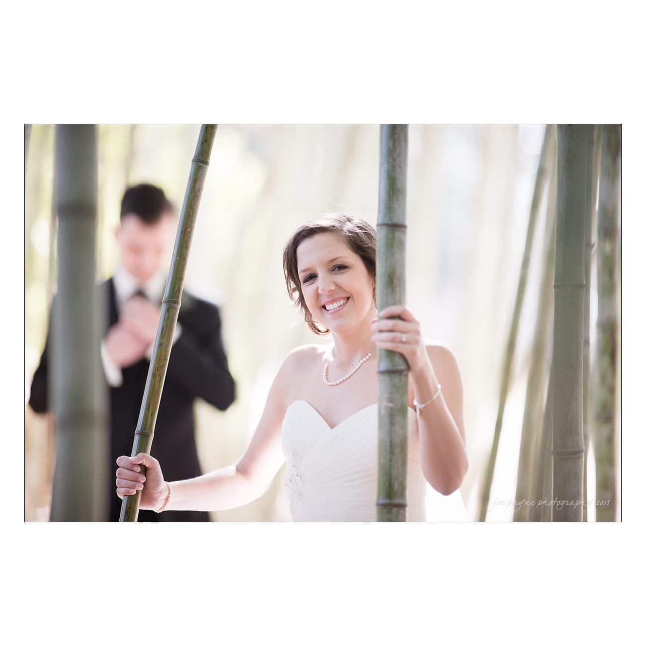A bride in a white dress smiles while holding bamboo stalks. A groom in a suit stands blurred in the background, adjusting his tie. The setting appears to be a bamboo forest, creating a serene, natural backdrop.