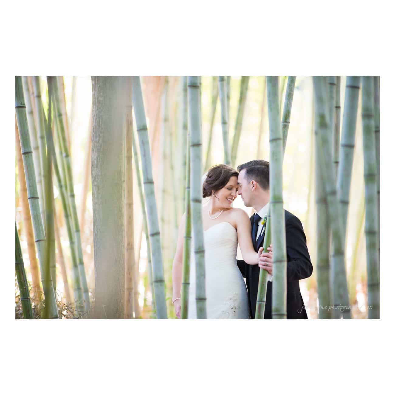 A bride and groom stand closely together amidst tall bamboo stalks. The bride is wearing a white wedding gown, and the groom is in a black suit. Both are smiling and looking at one another, surrounded by soft, natural light.