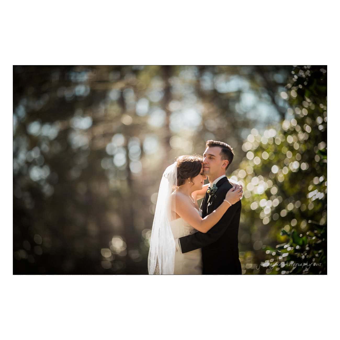 A bride and groom embrace outdoors on a sunny day, surrounded by soft-focus greenery. The bride wears a long veil, and the groom is in a black suit. The lighting creates a dreamy, romantic atmosphere.