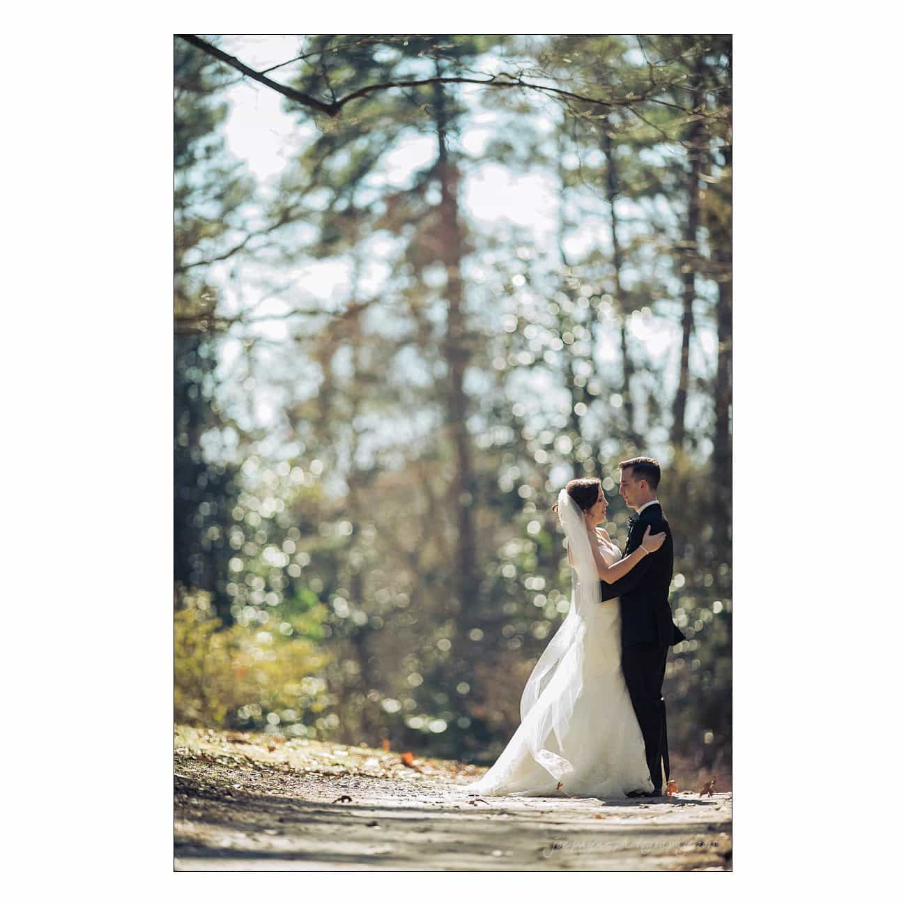 A bride and groom stand facing each other outdoors, surrounded by sunlit trees. The bride wears a white gown and veil, and the groom is in a dark suit. The scene is serene and romantic with light filtering through the leaves.
