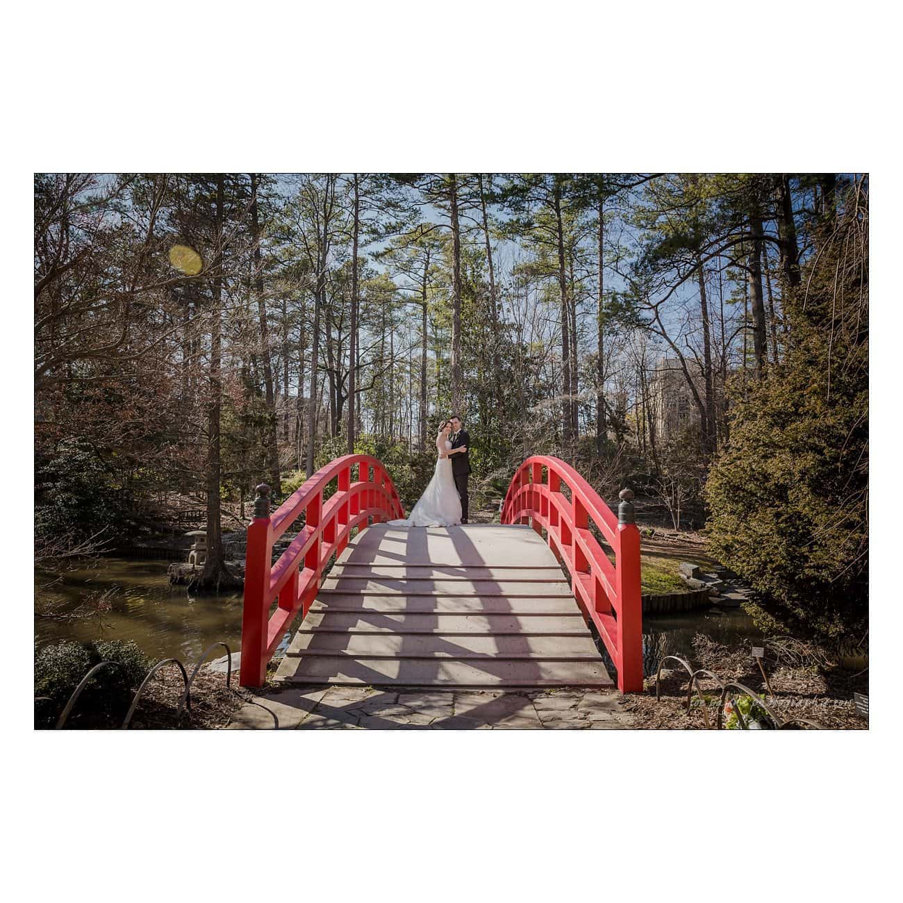 A couple stands on a red arched bridge in a serene garden setting with trees and a pond. Sunlight filters through the branches, casting shadows on the bridge.