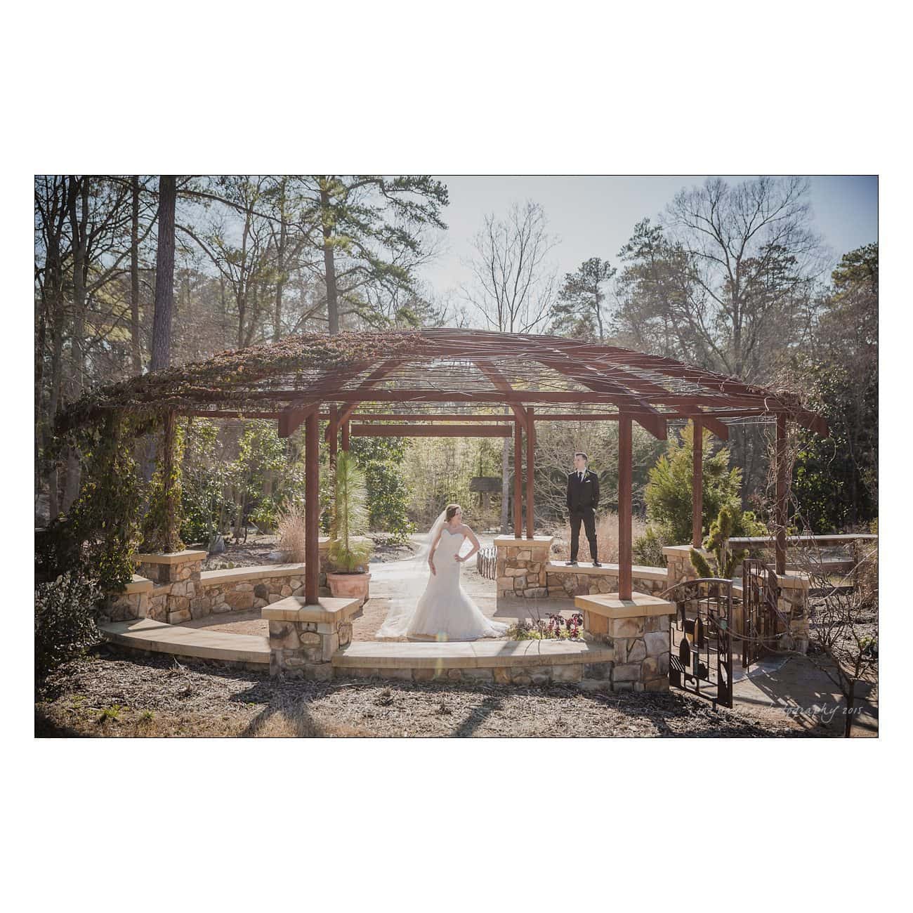 A bride in a white dress poses under a rustic wooden pergola surrounded by greenery, while a person in a black suit stands nearby. Sunlight filters through the trees, creating a serene atmosphere.