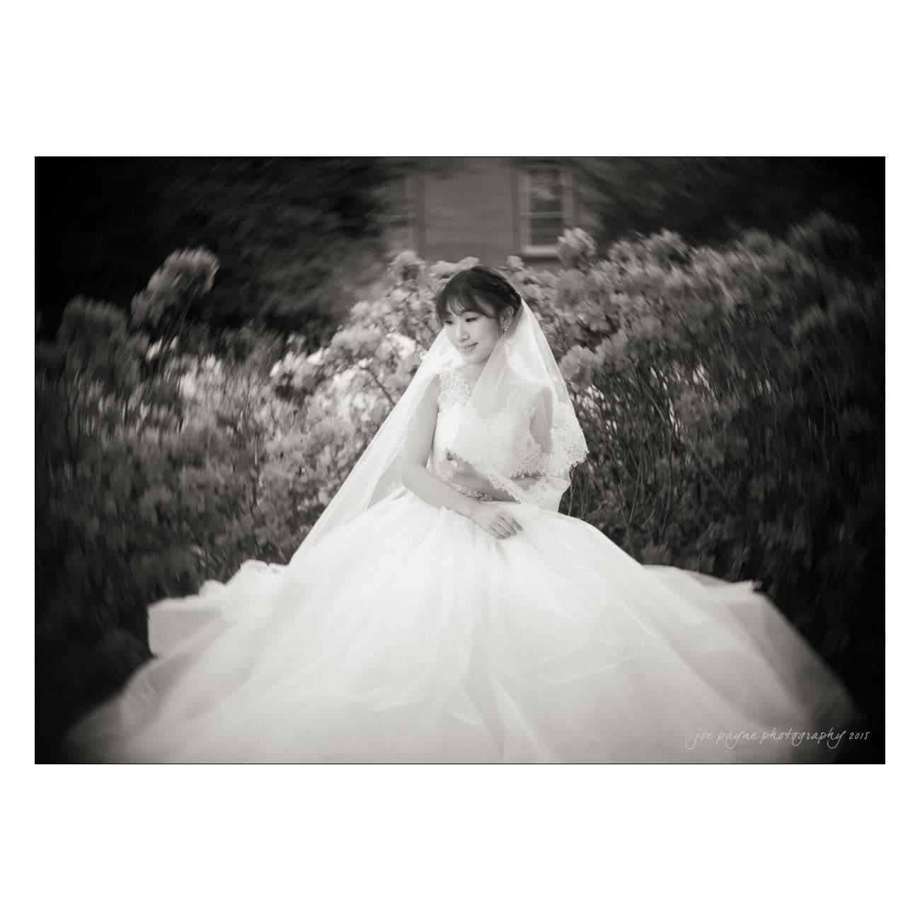 A black and white photograph of a bride in a flowing wedding gown, standing outdoors. She is surrounded by foliage, with a soft focus effect creating a dreamy atmosphere.