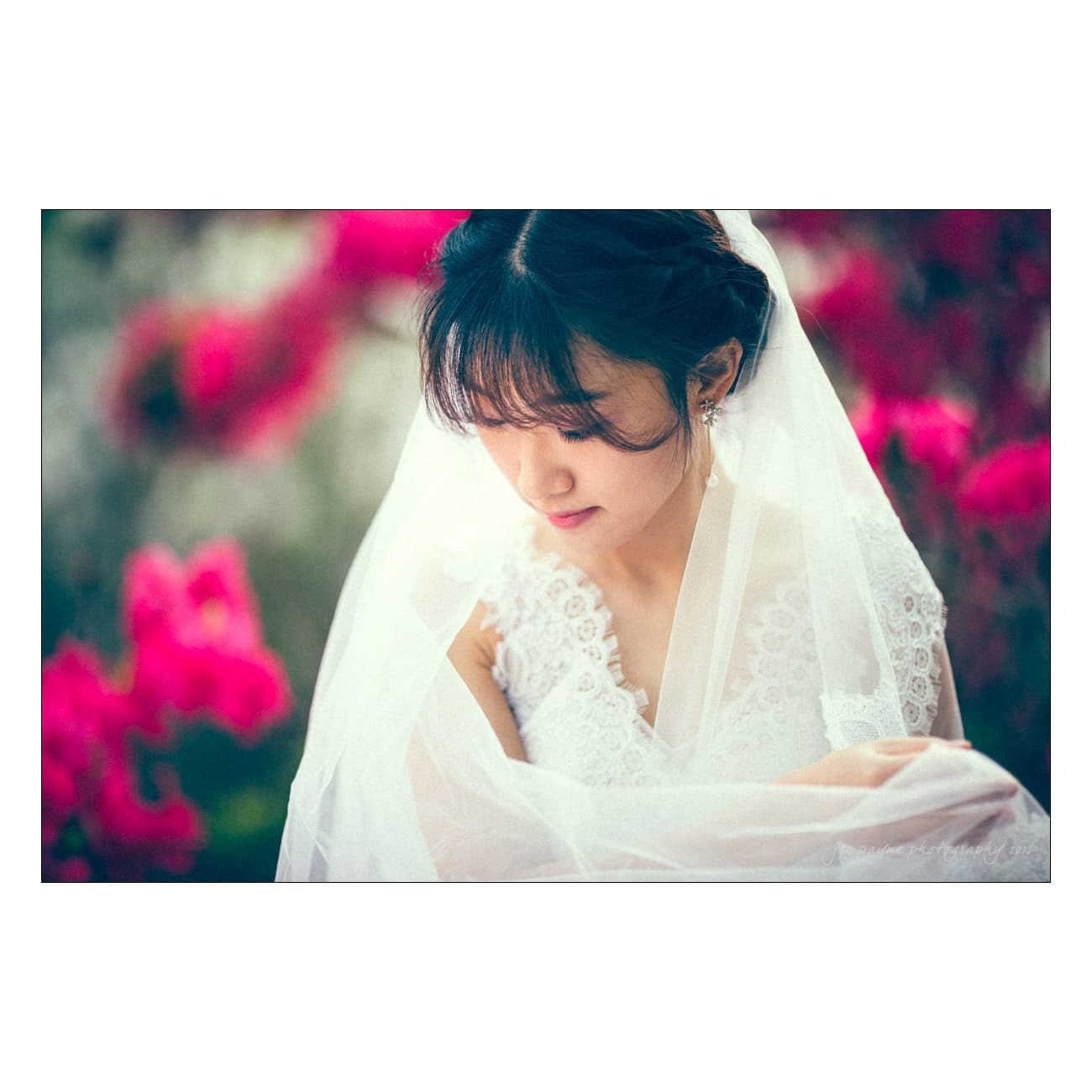 A bride in a lacy white dress and veil looks down with a serene expression. The background is filled with vibrant pink flowers, creating a soft, romantic atmosphere.
