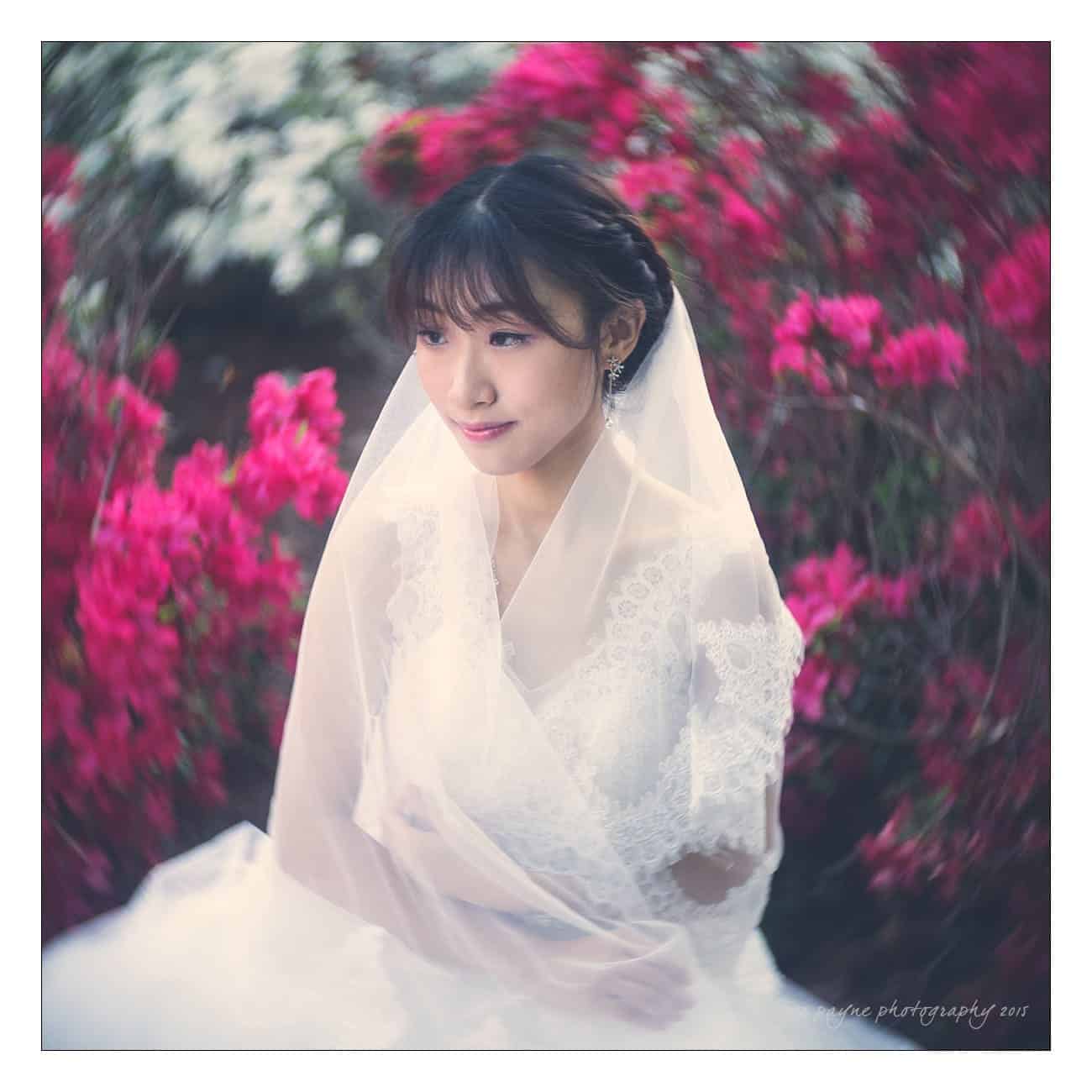 A bride in a white lace dress and veil sits surrounded by vibrant pink flowers. She gazes to her left with a gentle smile. The background is softly blurred, highlighting the bright florals.