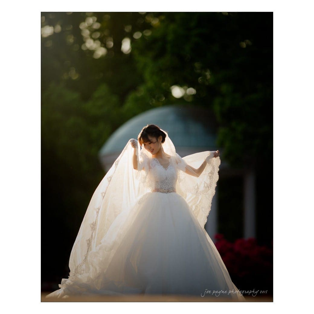 Bride in a white gown stands outdoors, holding her veil, bathed in soft sunlight. A dome structure and greenery are blurred in the background.