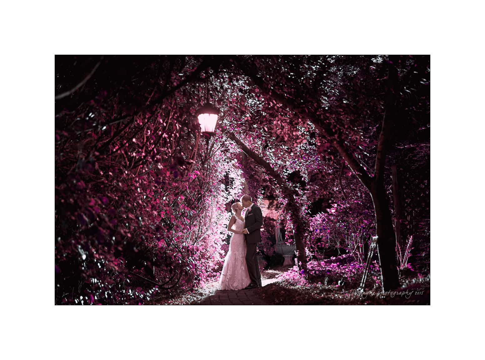 barclay villa wedding photographer - kelly & cameron A couple in wedding attire embraces under a glowing streetlamp amid a tunnel of trees and foliage. The scene is bathed in pink and purple hues, creating a dreamy, romantic atmosphere.