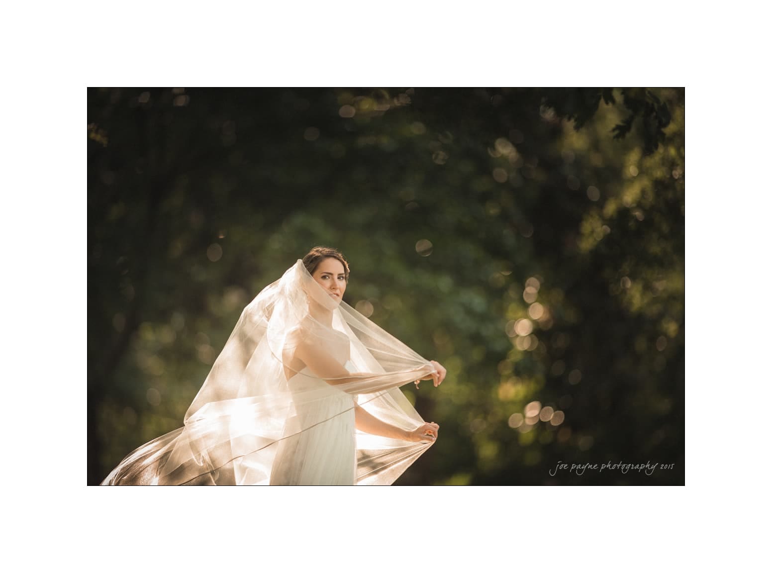 NC wedding photography - rachel & joe A bride stands in a sunlit forest, wrapped elegantly in a flowing veil. The background features lush, blurred greenery, creating a serene and dreamy atmosphere.