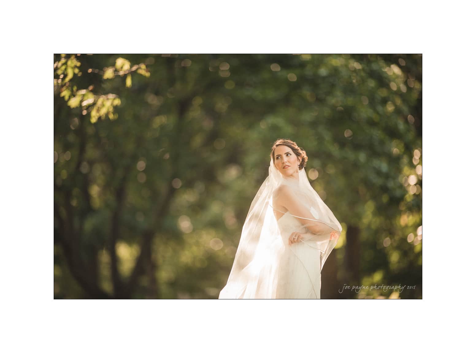 NC wedding photography - rachel & joe A bride stands in a sunlit forest, wearing a long veil and white dress. She looks into the distance with trees softly blurred in the background, creating a serene and dreamy atmosphere.