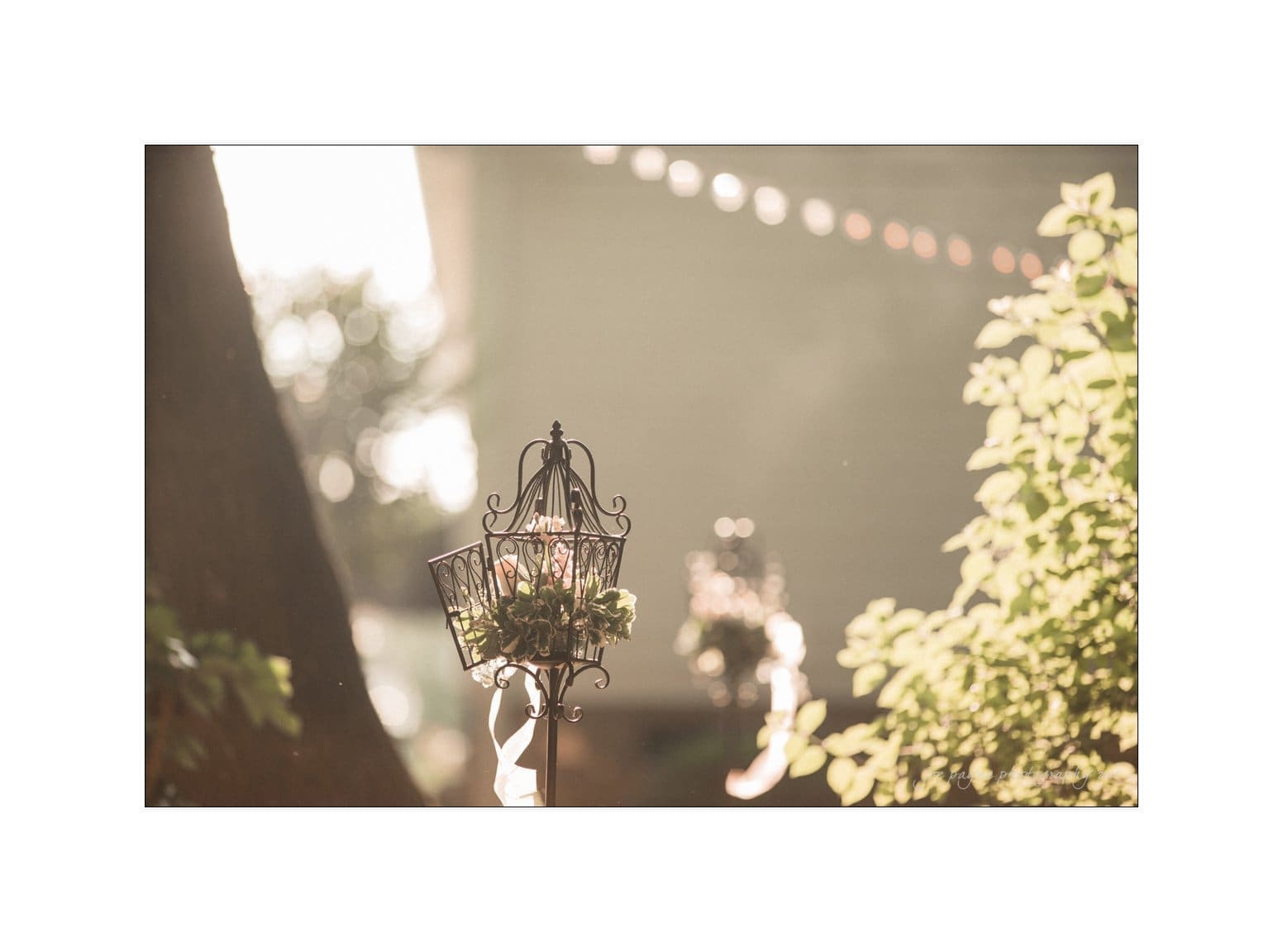 NC wedding photography - rachel & joe A decorative wrought iron lantern adorned with greenery and small flowers hangs outdoors, with sunlight creating a warm, dreamy atmosphere. Blurred greenery and string lights are visible in the background.