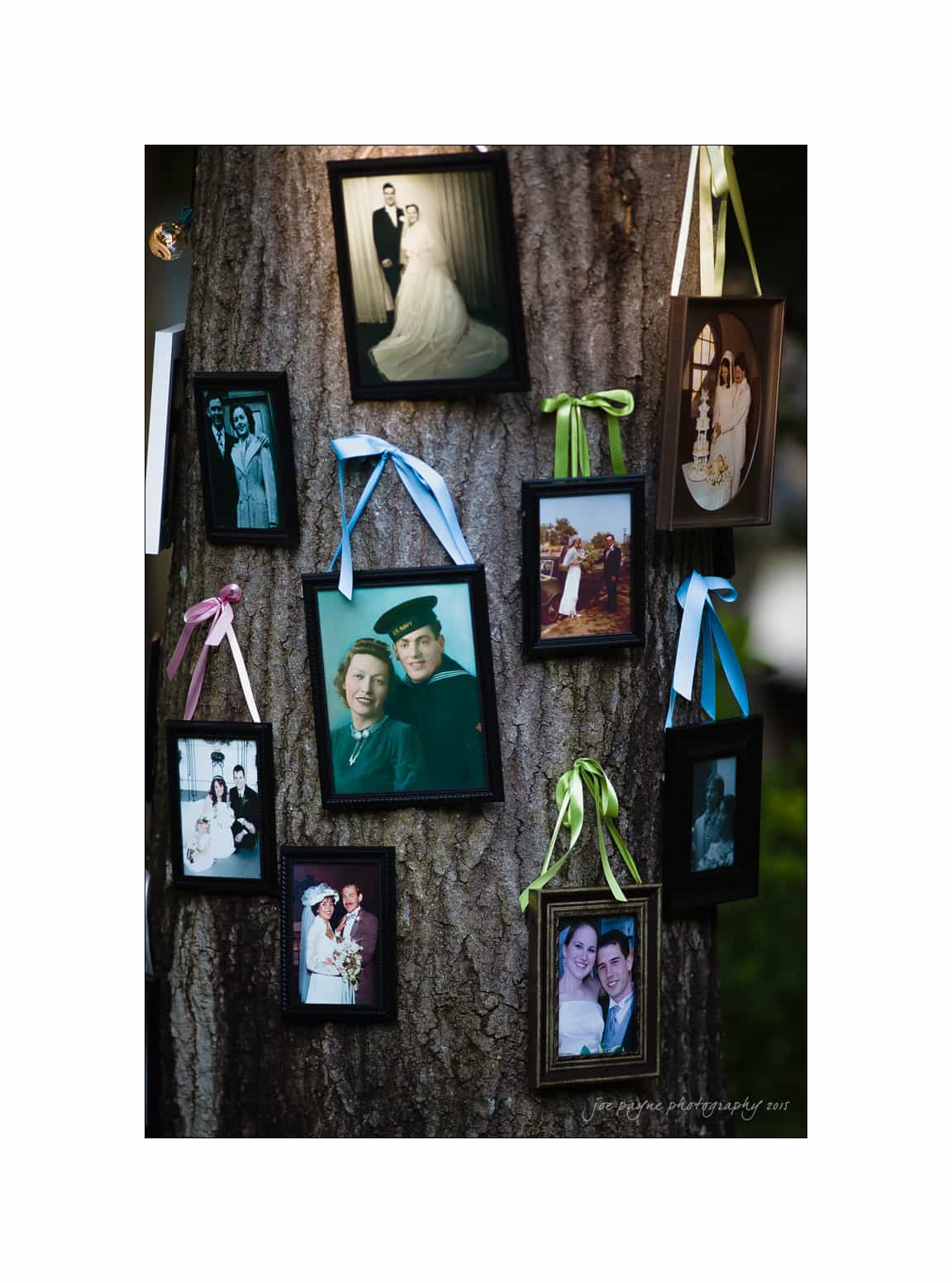 NC wedding photography - rachel & joe A variety of framed wedding photos hanging on a tree. The frames are attached with colorful ribbons, including pink, green, and blue. The photos showcase different couples, some in military attire, in a natural outdoor setting.