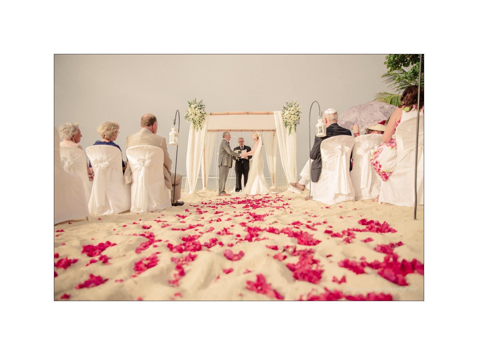A beach wedding ceremony with guests seated on either side of a sandy aisle covered in red rose petals. A couple stands under an arch adorned with greenery, as an officiant conducts the ceremony.