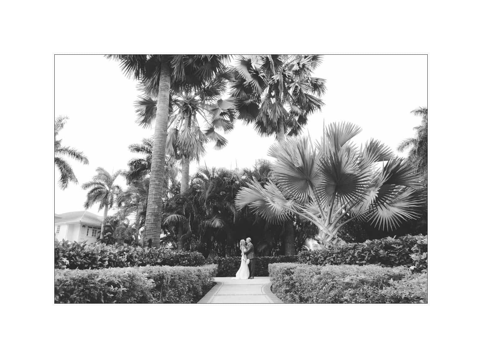 half moon montego bay wedding photography - leah & evan A black and white photo of a wedding couple embracing on a garden path surrounded by lush palm trees and bushes. The scene is tranquil and romantic, with a bright sky in the background.